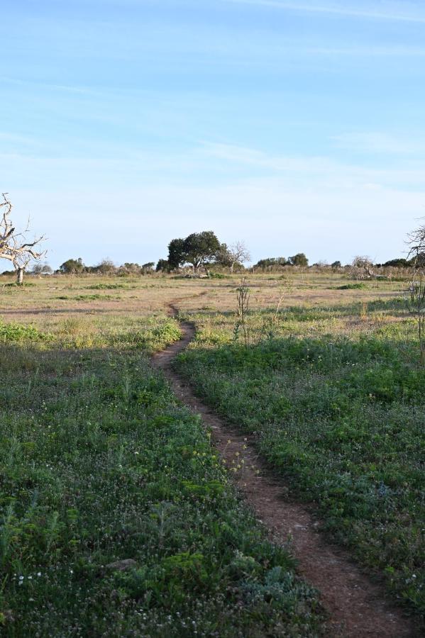 Finca Sa Cova Vella Manacor  Exterior foto