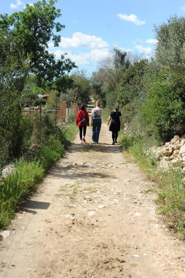 Finca Sa Cova Vella Manacor  Exterior foto