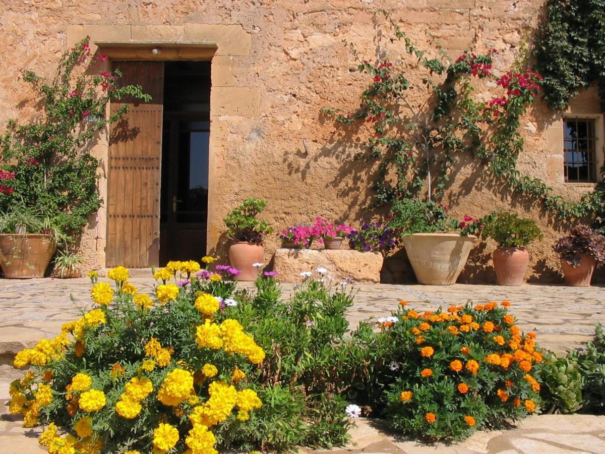 Finca Sa Cova Vella Manacor  Exterior foto