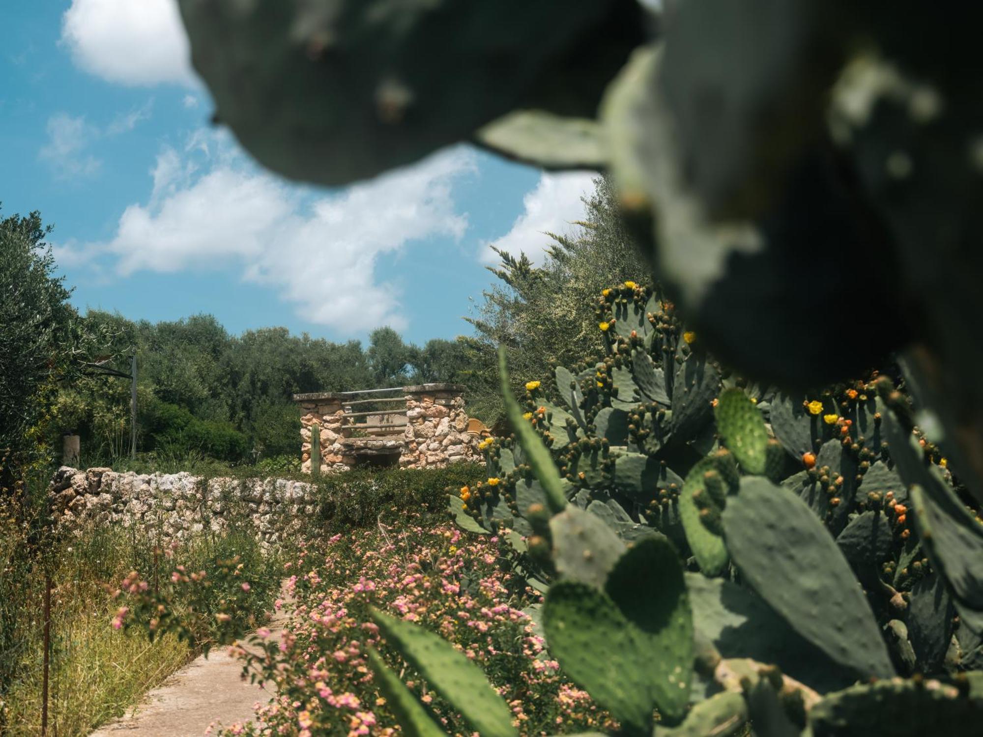 Finca Sa Cova Vella Manacor  Exterior foto